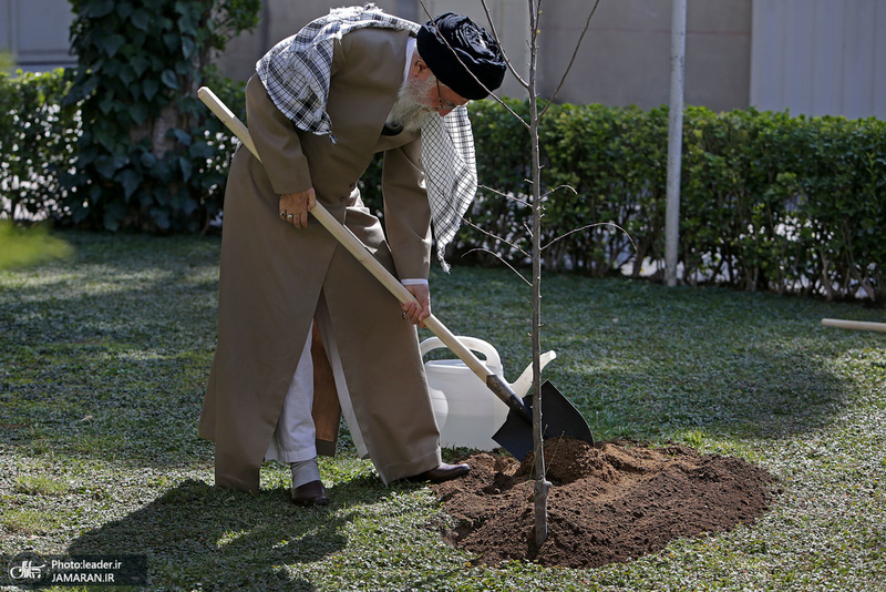 غرس کردن دو اصله نهال میوه توسط رهبر معظم انقلاب اسلامی
