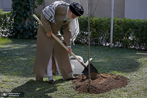 غرس کردن دو اصله نهال میوه توسط رهبر معظم انقلاب اسلامی