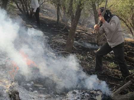 آتش سوزی گسترده در جنگل‌ها و مراتع کوه خامی در گچساران مهار شد