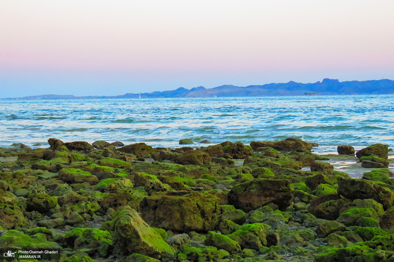 پارک زیتون قشم