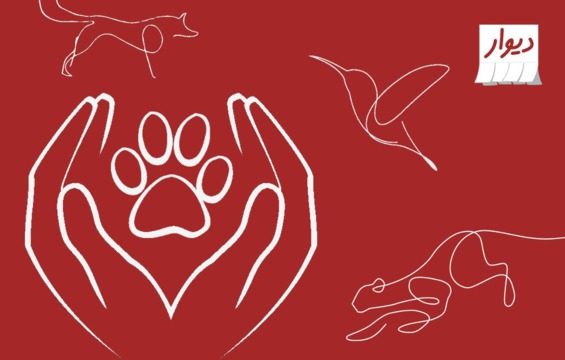 شکار غیرمجاز کسب و کار من است!
