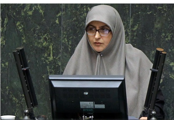 سیاووشی: وزارت امور خارجه تهدیدها را به فرصت تبدیل کرد