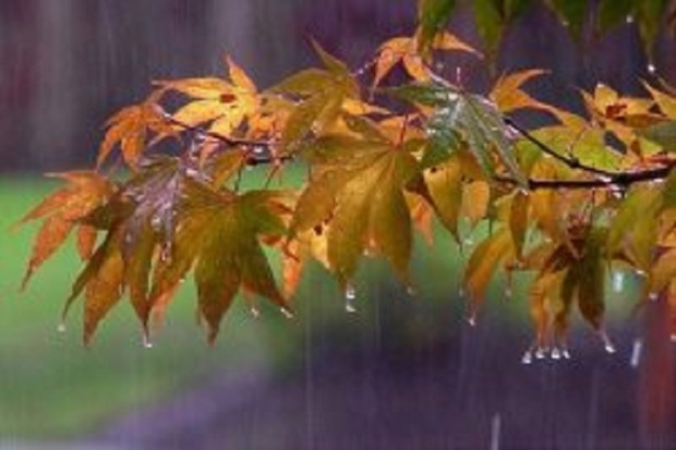 39 میلیمتر باران در دژسلیمان بارید