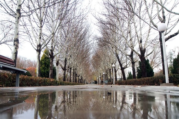 بارش برف مناطق سردسیر  استان اصفهان را سفید پوش کرد