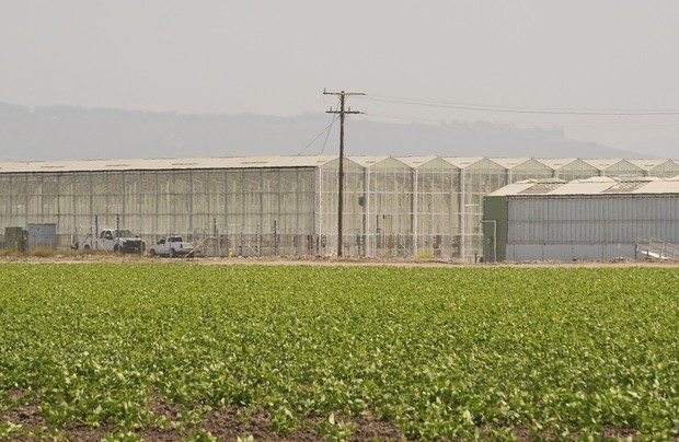 اولین قربانی سیاست ضد مهاجرتی ترامپ در آمریکا 