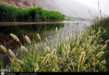 هم اندیشی نخبگان برای حفاظت از تالاب هشیلان برگزار می شود