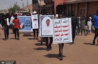 روز جهانی قدس در نیجریه (2)