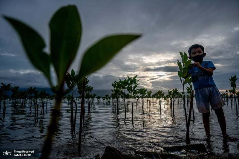 منتخب تصاویر امروز جهان- 21 تیر 1400