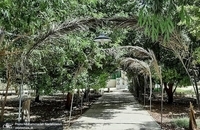 مراسم دعای عرفه در حسینیه گردان تخریب لشکر ظفرمند محمد رسول الله (ص) برگزار شد + تصاویر