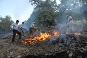 10 هکتار از جنگل های سرفاریاب در اتش سوخت