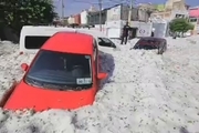 برف و یخبندان در گوادالاخارا در شرق مکزیک