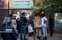 شیرهای سفید (18)