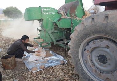 دانش آموز روستایی سیروان رتبه ۱۸ کنکور سراسری را کسب کرد