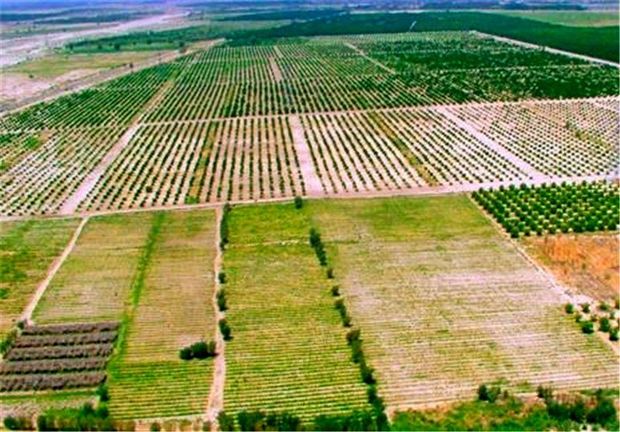 یگان حفاظت از اراضی کشاورزی در آذربایجان شرقی  راه اندازی شد