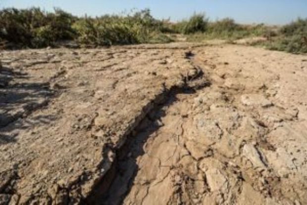 مرگ خاموش خاک زیر سایه بحران آب و هوا