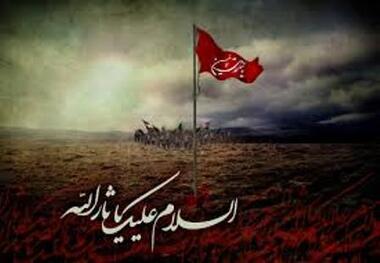 انجام قربانی دام در معابر عمومی احتمال بروز بیماری‌ها را چند برابر می‌کند