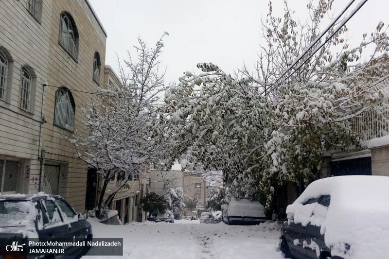 بارش برف پاییزی در برخی نقاط تهران - 25 آبان