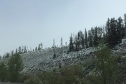 بارش برف تابستانی در یکی از ایالت های آمریکا! + تصاویر
