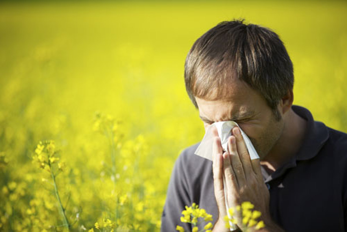  چرا هر سال آلرژی‌های فصلی شدیدتر می‌شوند؟