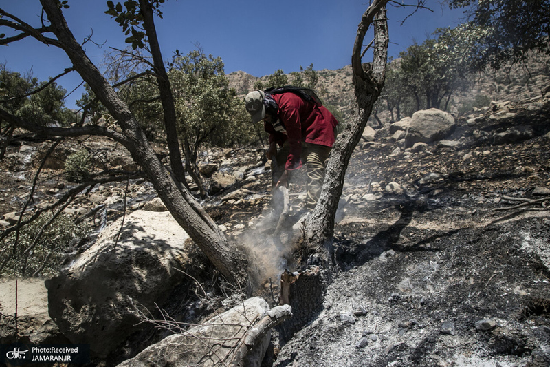 منتخب تصاویر امروز جهان- 31 اردیبهشت 1400