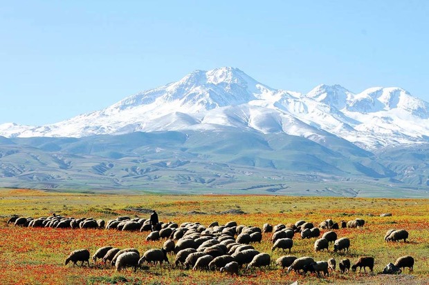 کوه سبلان جهانی می شود