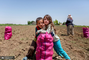 منتخب تصاویر امروز جهان- 10 مرداد 1400