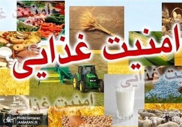 تعرفه صفر برای صادرات به اوراسیا، امنیت غذایی در لبه تیغ!