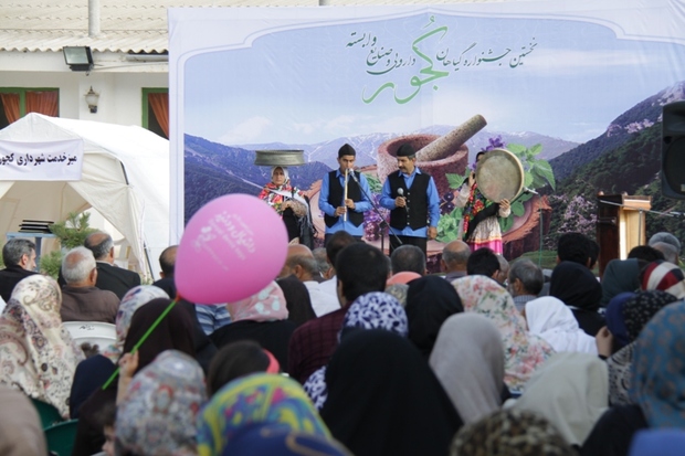 نخستین جشنواره گیاهان دارویی در کجور نوشهر آغاز شد