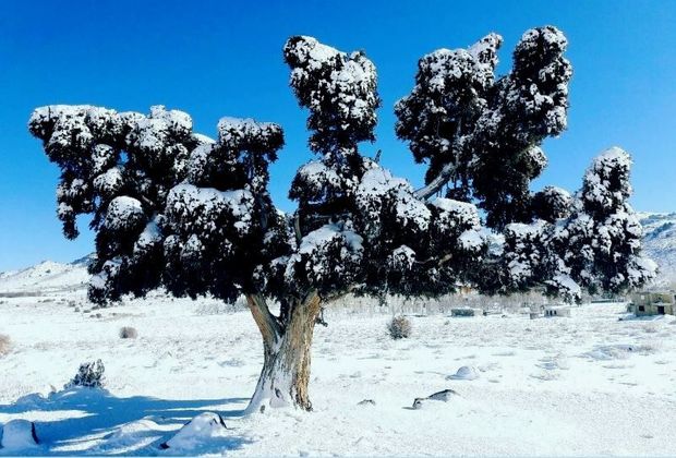 ثبت پنج اثر طبیعی قزوین در فهرست آثار ملی