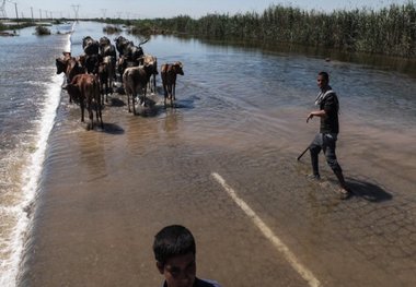 کوچ بهاره عشایر ورامین به تعویق افتاد