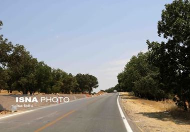 ۵۰۰کیلومتر راه روستایی در کهگیلویه و بویراحمد در دست اقدام است