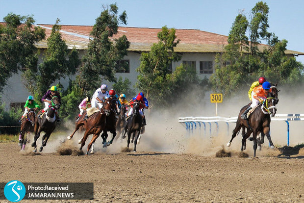 فوت تلخ اسب سوار در کورس گلستان