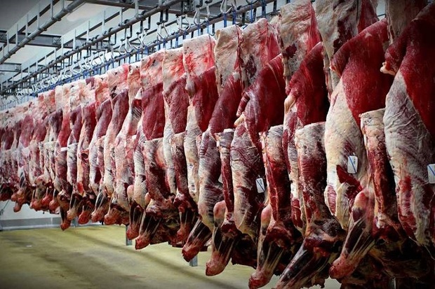 بیش از 24 هزار تن گوشت قرمز در قزوین تولید شد
