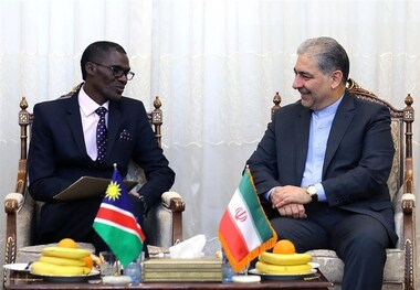 نامیبیا بدون توجه به تبلیغات رسانه‌های غربی همیشه دوست و همراه ایران است
