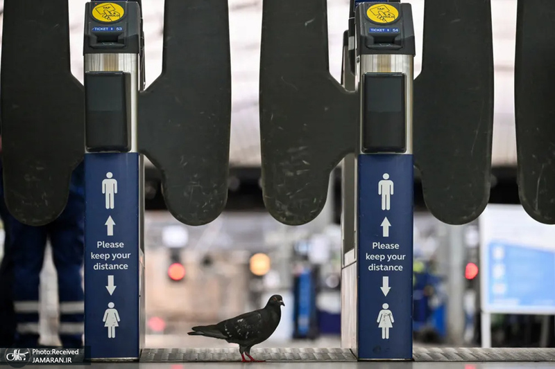 منتخب تصاویر امروز جهان - 1 تیر 1401