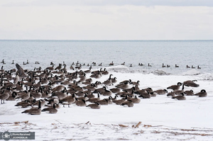 منتخب تصاویر امروز جهان - 18 بهمن 1403