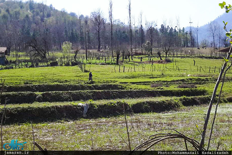 طبیعت رویایی ماسال گیلان