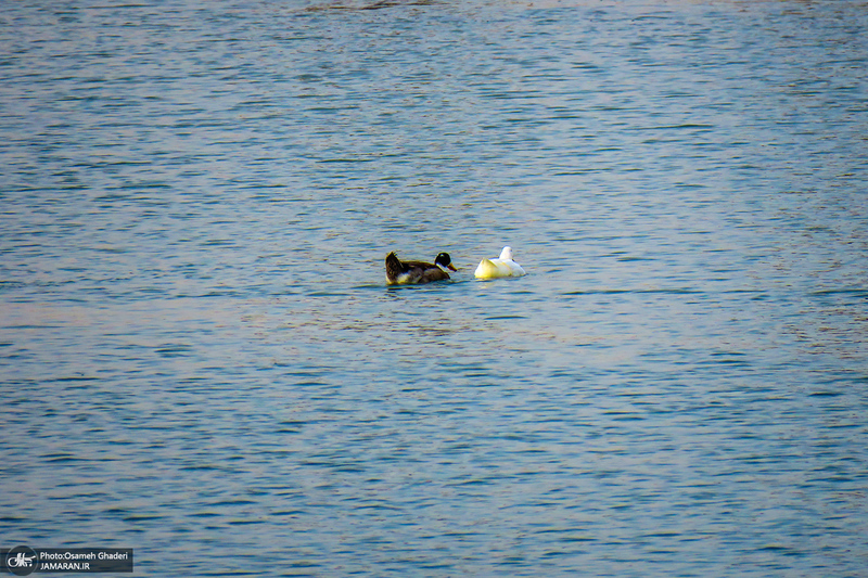 دریاچه مصنوعی جوان قم