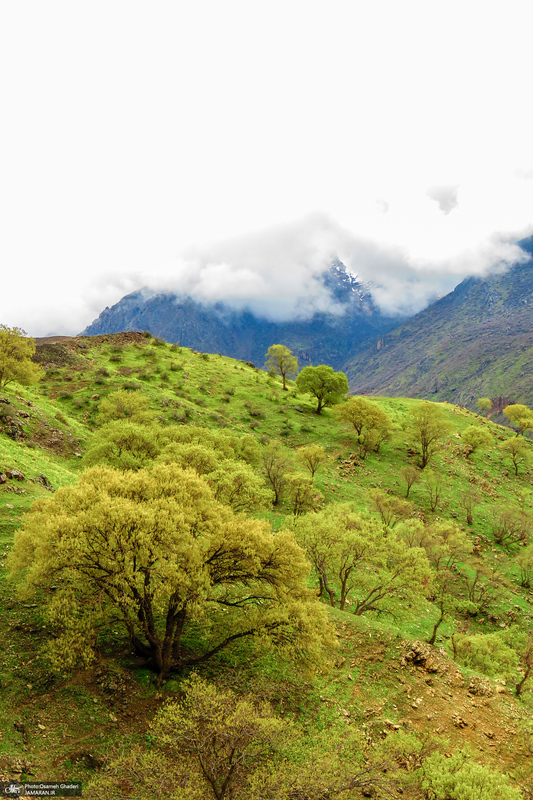 روستای هجیج؛ ماسوله سنگی کرمانشاه‎‎