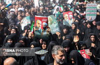 63508660_Alireza-Mohammadi-3067