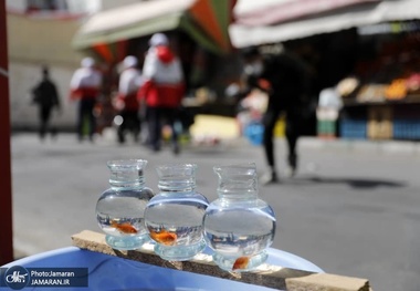 تعجب نویسنده آمریکایی از رفتار ایرانی‌ها در مواجهه با کرونا: کاش مردم دنیا از ایرانی‌ها یاد بگیرند