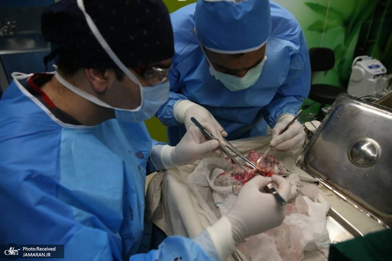 منتخب تصاویر امروز جهان- 10 اردیبهشت 1400