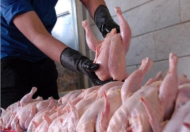 چرا مرغ کیلویی ۱۴۰ هزار تومان است؟!