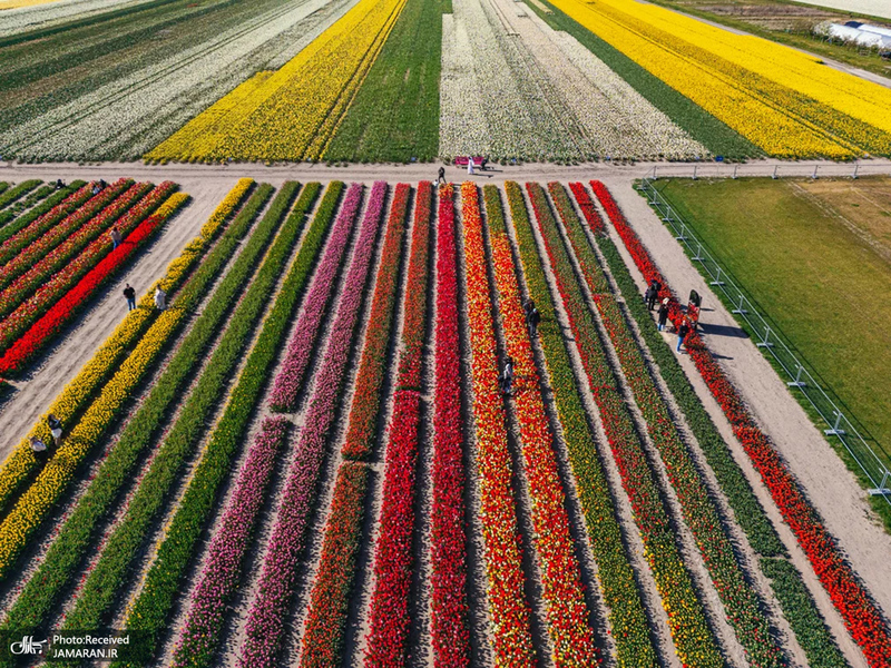 منتخب تصاویر امروز جهان - 22 و 23 فروردین 1404