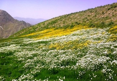 اختلاف 10 ساله مردم 2 روستای مهاباد ختم به خیر شد