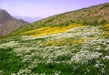 اختلاف 10 ساله مردم 2 روستای مهاباد ختم به خیر شد