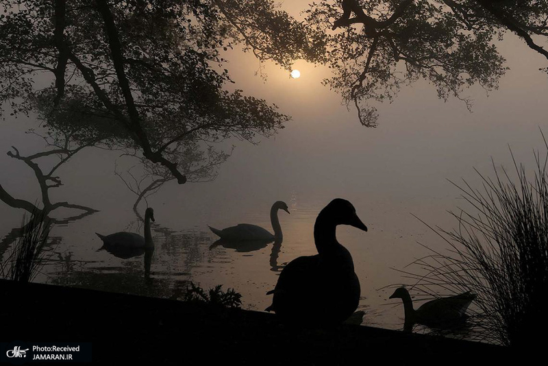 منتخب تصاویر امروز جهان - 14 اردیبهشت 1404