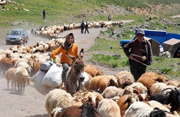 امداد رسانی به 60 خانوار عشایری در نهاوند انجام شد