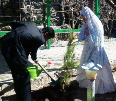 زوج خوش ذوق جیرفتی با کاشت نهال زندگی خود را آغاز کردند