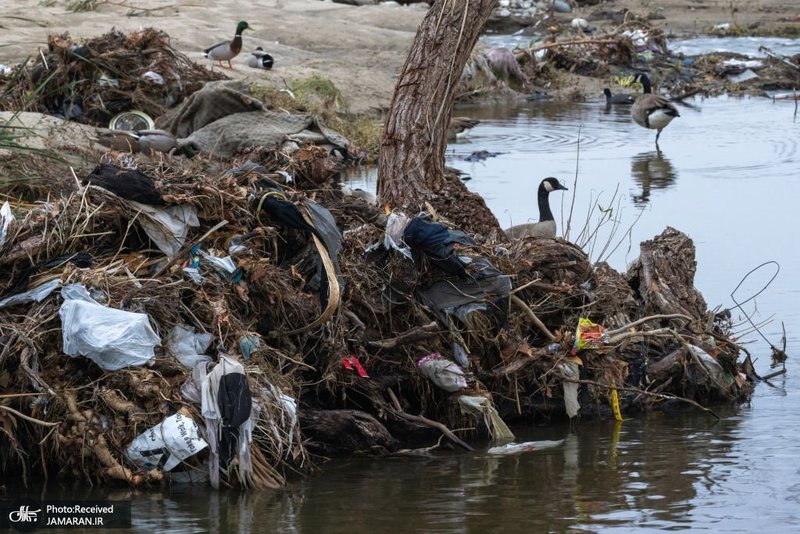منتخب تصاویر امروز جهان - 14 دی 1401
